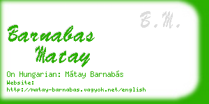 barnabas matay business card